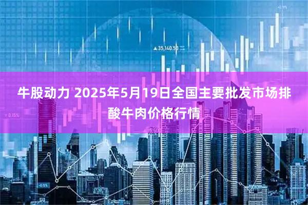 牛股动力 2025年5月19日全国主要批发市场排酸牛肉价格行情