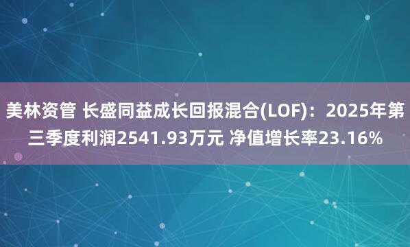 美林资管 长盛同益成长回报混合(LOF):2025年第三季度利润2541.93万元 净值增长率23.16%