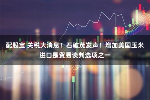配股宝 关税大消息!石破茂发声!增加美国玉米进口是贸易谈判选项之一