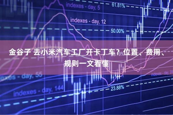 金谷子 去小米汽车工厂开卡丁车？位置、费用、规则一文看懂